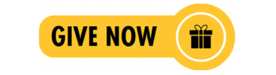 Give now button