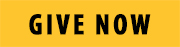Give Now button