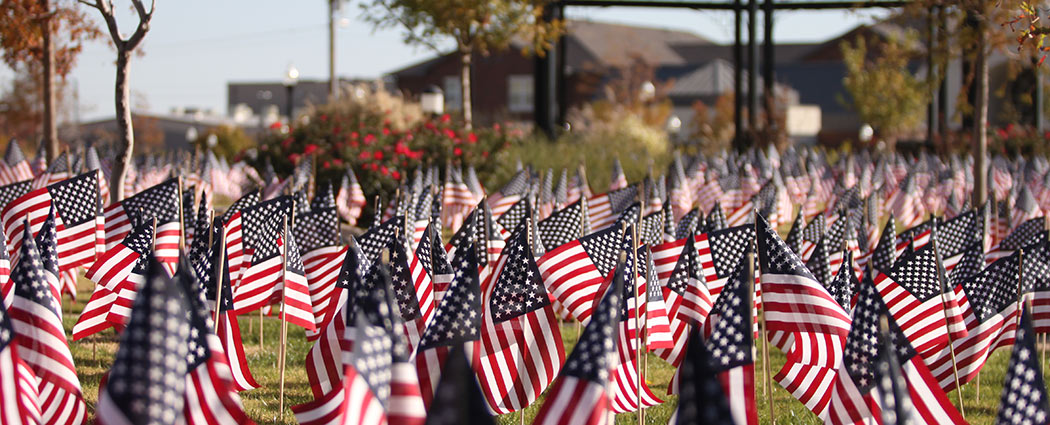 Photo of American Flags on campus