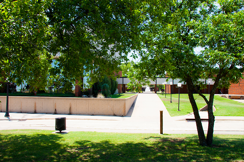 campus trees