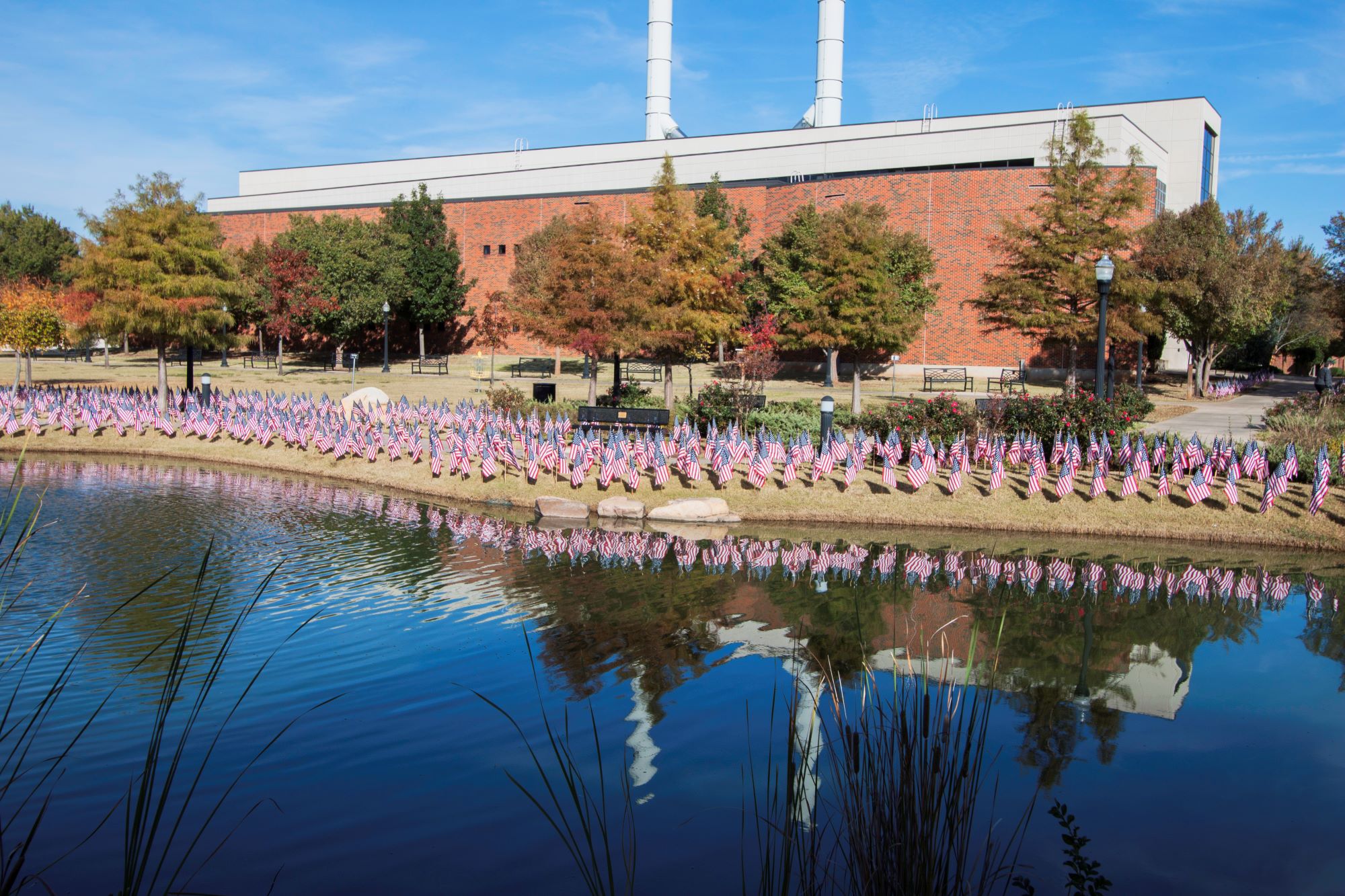 Photo of American flags displayed around Bentley Gardens