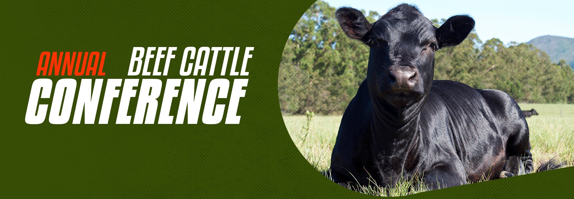 Beef Cattle Improvement Conference hero image