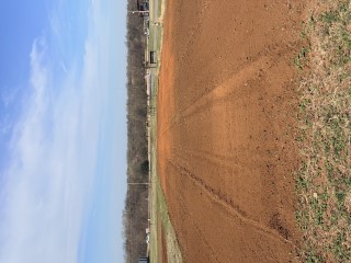 Photo of Community Garden