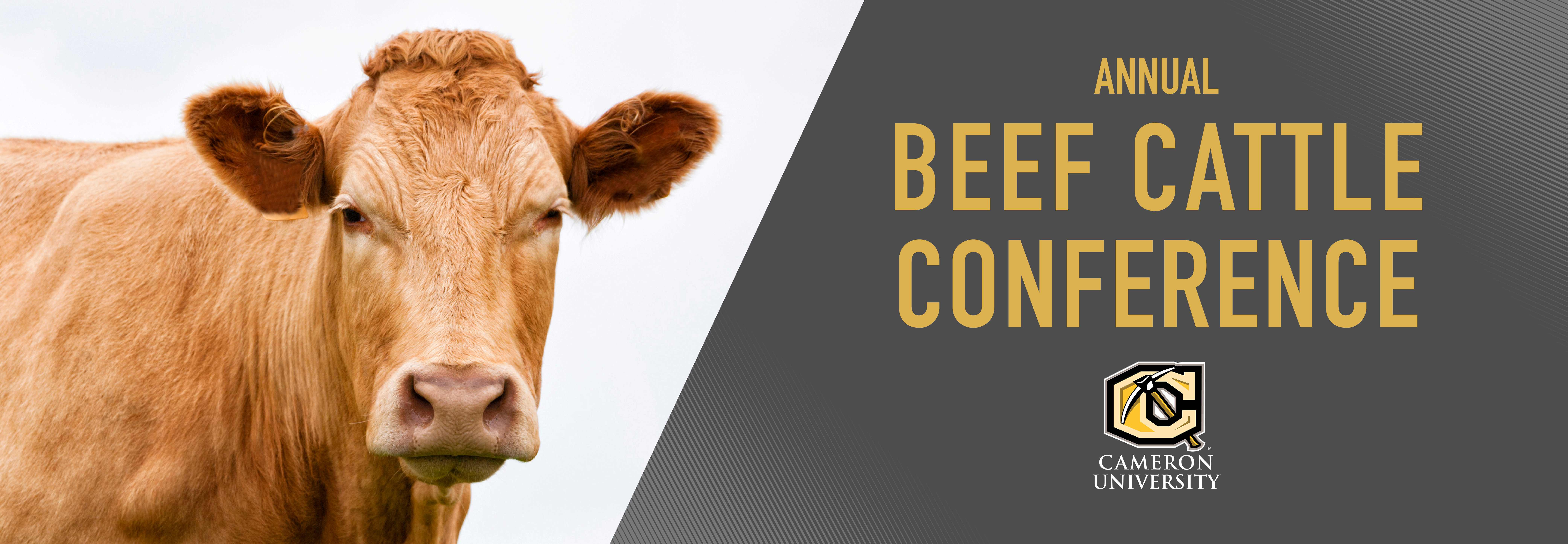 Beef Cattle Improvement Conference hero image