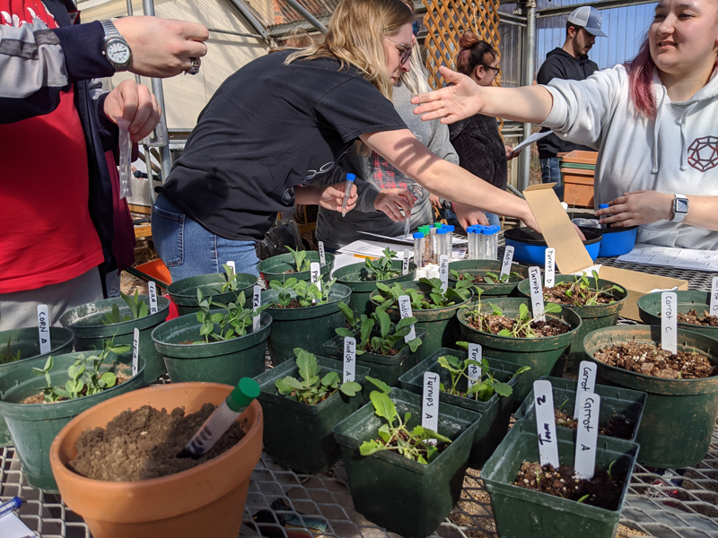students in greenhouse