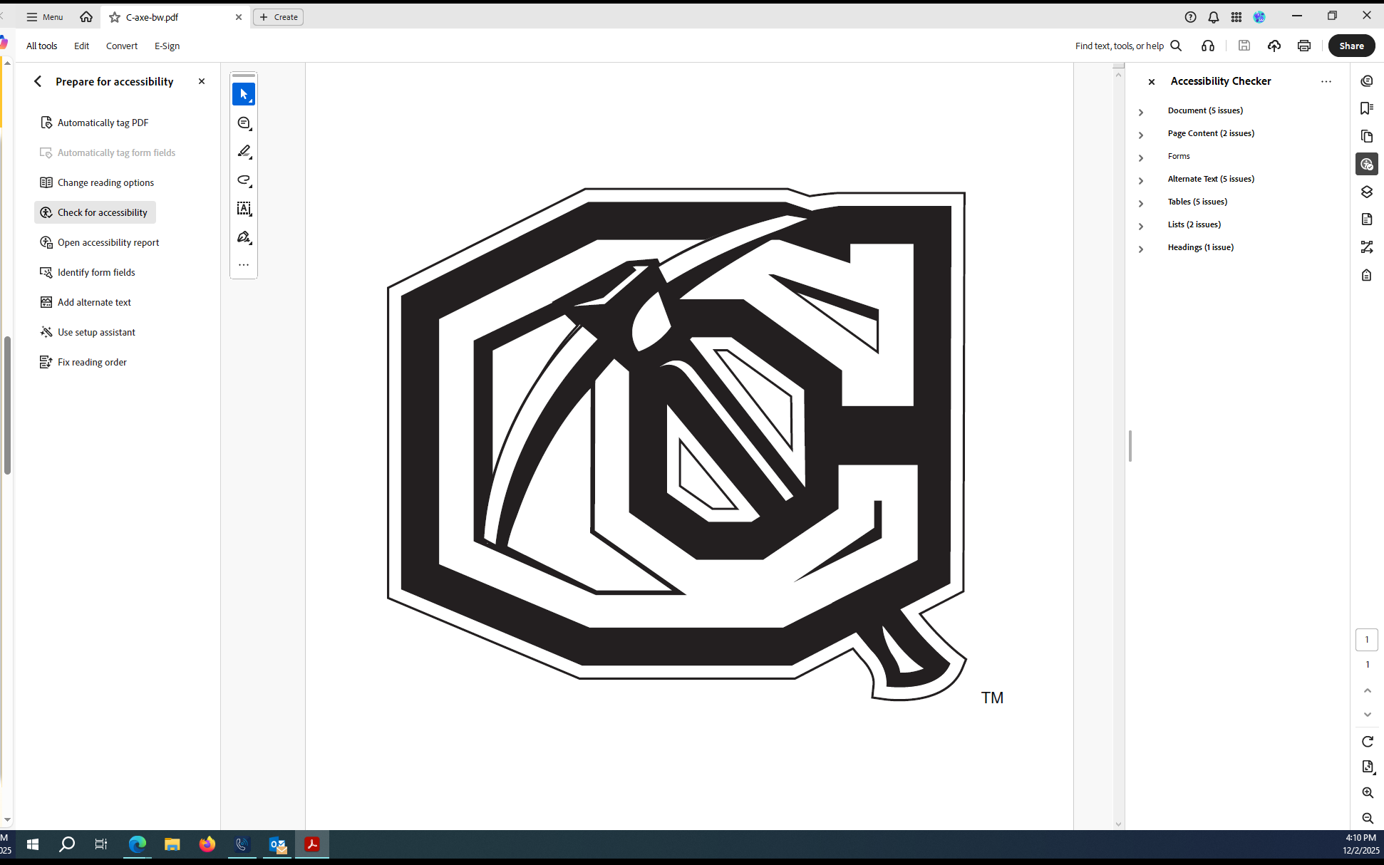 Accessibility checker results panel screenshot