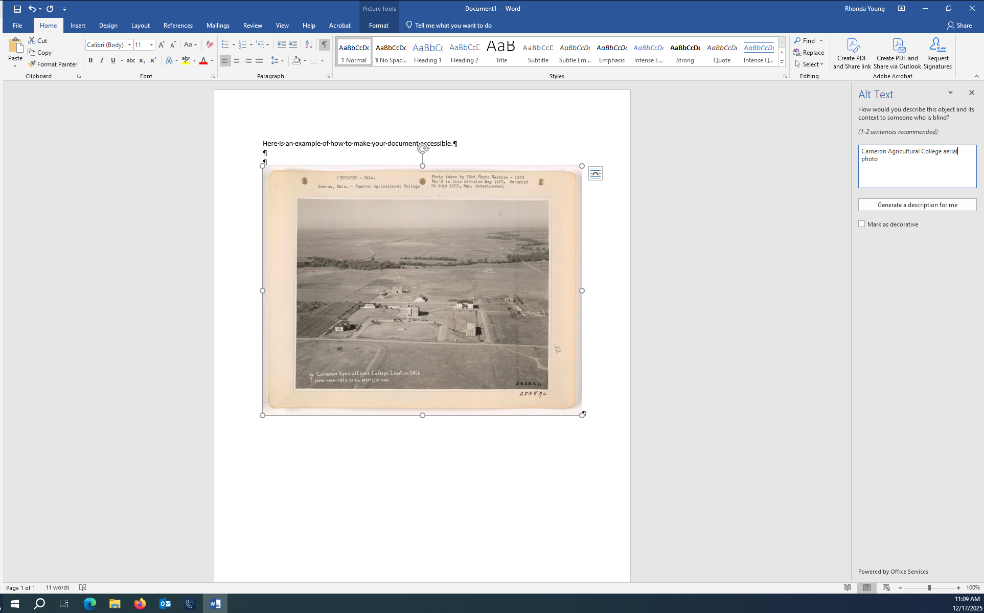 enter Alt Text in box screenshot