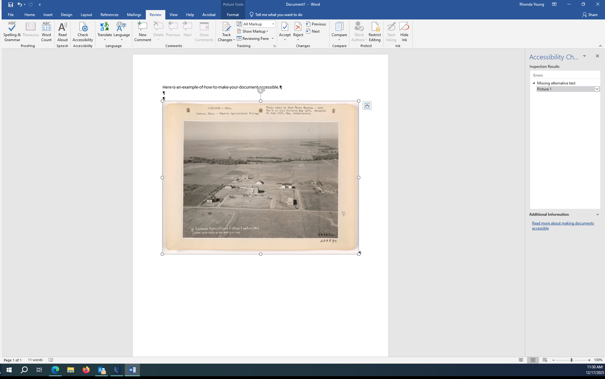 accessibility checker inspection results screenshot