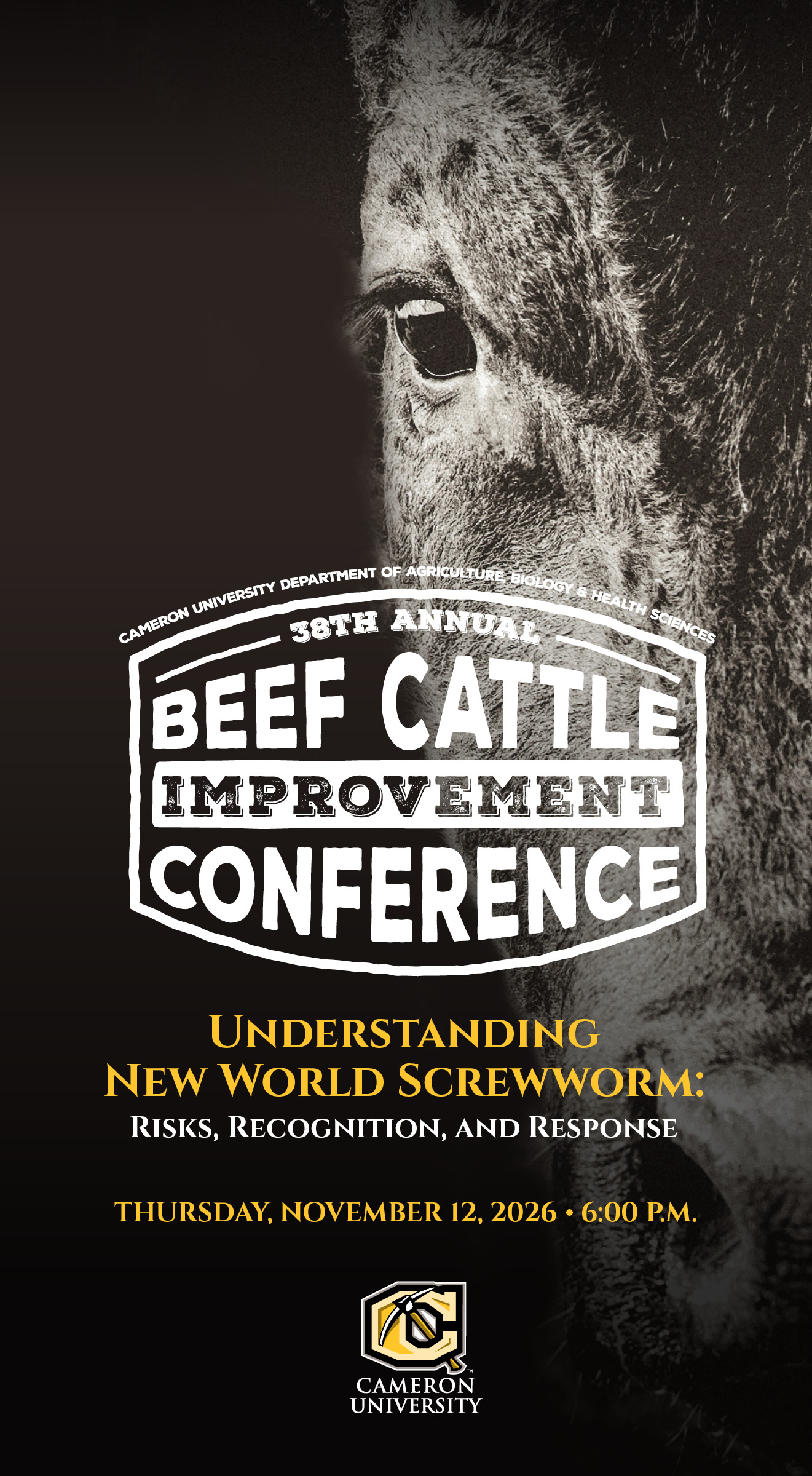The face of a cow on a black background with the CU Pickaxe logo announcing the 38th Beef Cattle Conference